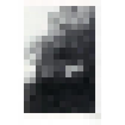 Фотокопия. Воин Егоров Н.В. в Австрии, 1945 г