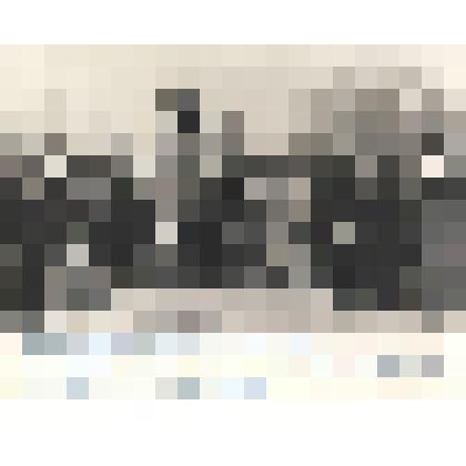 Фотографии. Фото ч/б, групповое. Ветераны Великой Отечественной войны у памятника Воинской славы в г. Абакане И.В.Шушеначев стоит в центре