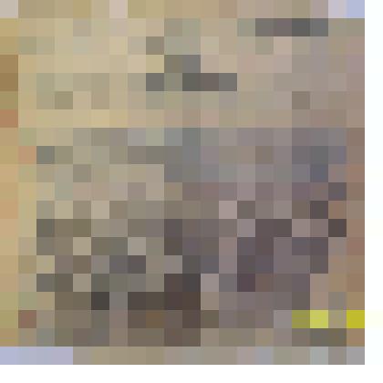 копия приказа