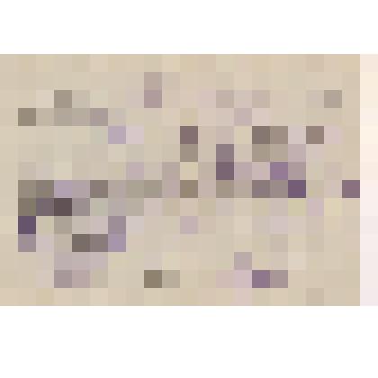 Справка о смерти Латукко И.-В.Ю