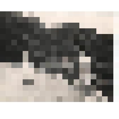 Фотография черно - белая групповая. Медсестра санатория «Ливадия» Вьюшичева Н.Н. с мужчиной и женщиной на дорожке в Ливадийском парке