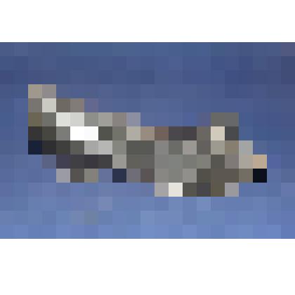 Туфля женская