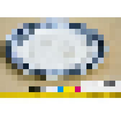 Тарелка мелкая  обеденная фаянсовая, белая, со смешанным орнаментом синего цвета, из столового сервиза "Lima"