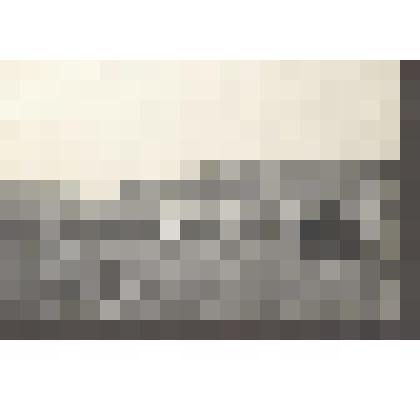 Л.Н.Толстой верхом в окрестностях Ясной Поляны