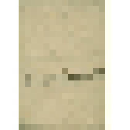 Отчёт по  Сольвычегодской  свечной  лавке