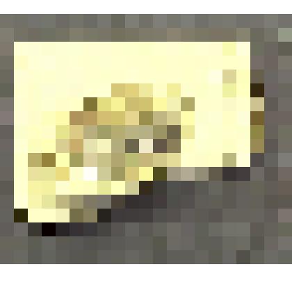 Gelocus aymardi Kowalevsky, челюсть верхняя (фрагмент)