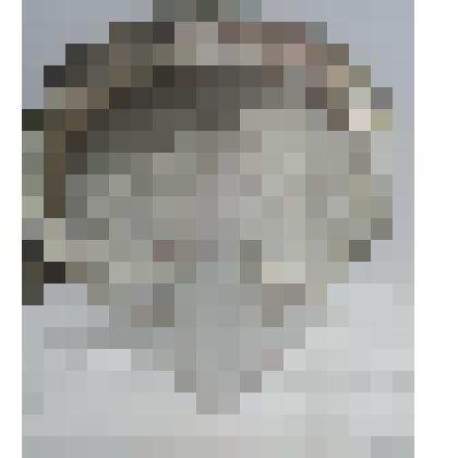 Тарелка металлическая