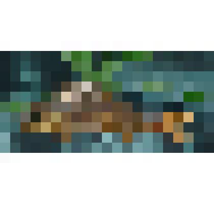 Чучело ерша