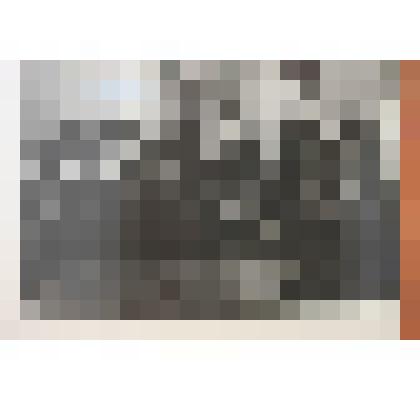 Коллектив учащихся и учителей Колыванской школы. Фотография