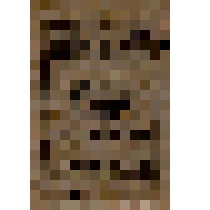 Программа  к спектаклю Государственного Коми республиканского  драматического театра «Секретарь райкома»  М.Прута. Постановка Г.А.Мирского