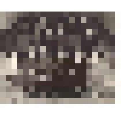 Фото групповое (черно-белое)