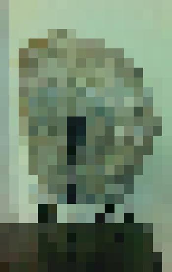 Окаменелость аммонит в разрезе