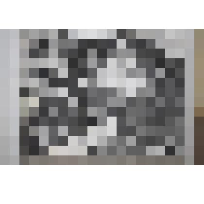 Фото. Теплица