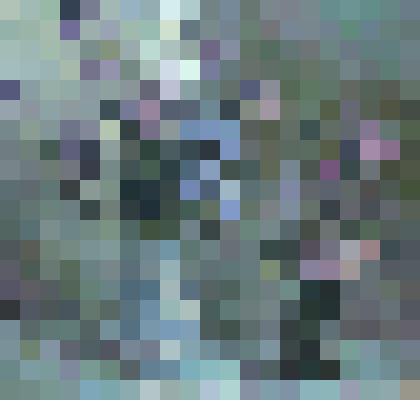 Натюрморт. "Флоксы"