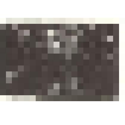 «Розово-Павильонный пруд ночью».1922. Серия иллюстраций к книге «Пейзажи Павловска в деревянных гравюрах».1923