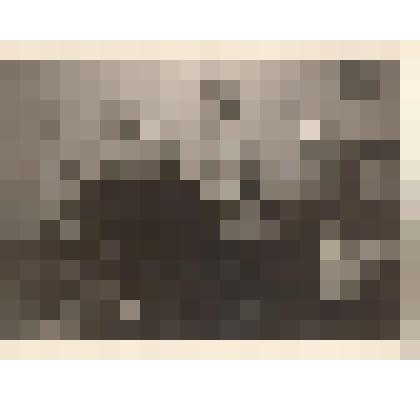 Фотография. Собинова С.Л., Козловский И.С., Райкина Е.А., Райкин А.И., Райкина-Иоффе Р.М., Кассиль Л.А., Кржижевская Ю