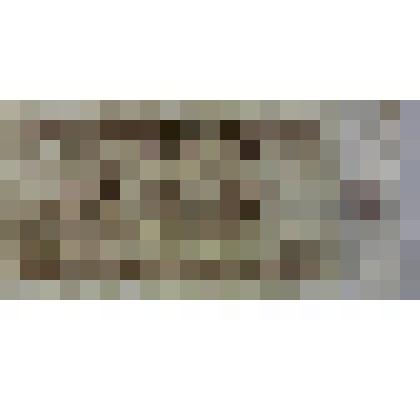 Билет Монгольского Банка "1 тугрик"