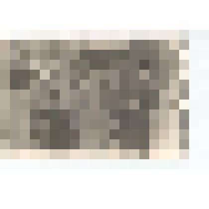 Фото/чб. Офицеры 148-й стрелковой Черниговской дивизии в Кольберге. Германия. 1945