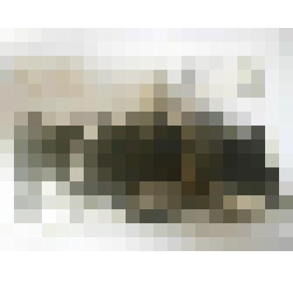 Фотография "Дорогами войны"