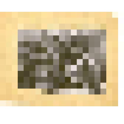 Фотография: группа №11 трактористов "СТЗ-НАТИ" Каменской школы механизации сельского хозяйства