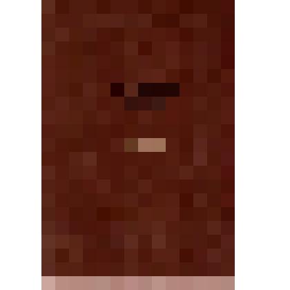 Книга. Дневник