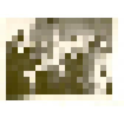 Фотография. Секретарь парторганизации проводит с рабочими комбината бытового обслуживания беседу о подписке на 1966 год