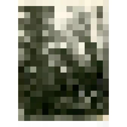 Фотография. Экспедиция.В лесу