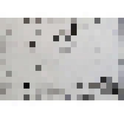 Группа птиц