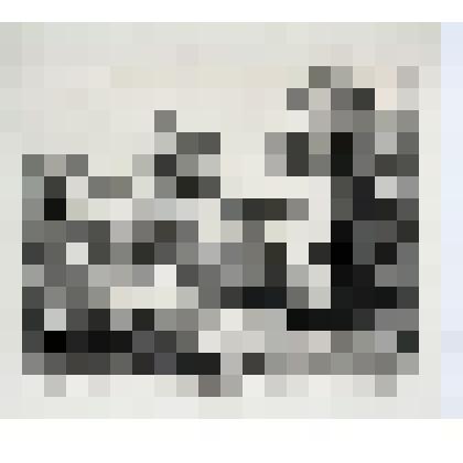 «Вид Каменного острова вдали дачи графа П.А.Строганова».1813-1814. Лист №6 из серии «Виды дачи Графа П.А.Строганова, Черной речки и Каменного острова». (1813-1814)