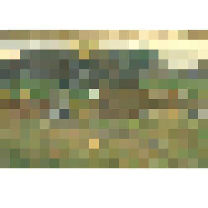 Картина. В деревне