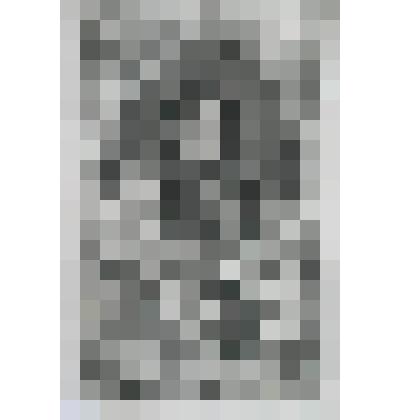 Портрет [Св.] Джона Фишера, епископа Рочестерского, Канцлера университета в Кембридже