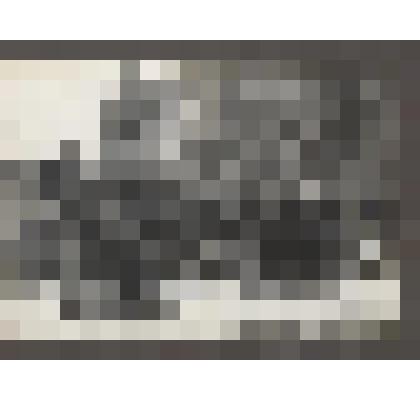 Л.Н.Толстой с Александрой Львовной Толстой близ ст. «Засека»