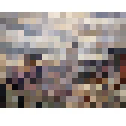 Этюд «Крыша дома на Броницкой улице дом 7»