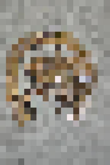 Настенный сувенир-барельеф "Богатырь на коне"