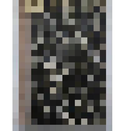 Книга. Лекарственные средства для животных. Краткий фармако-терапевтический указатель. Типография Кюгельген и Ко