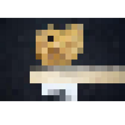 Раковина аммонита