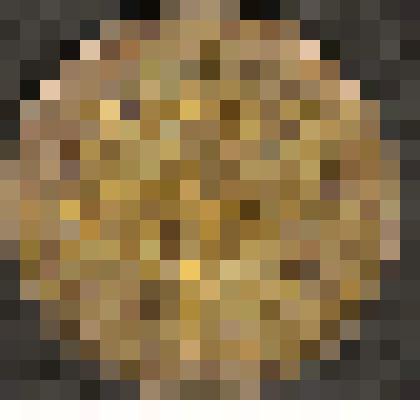 Монета. 10 копеек. Россия страна