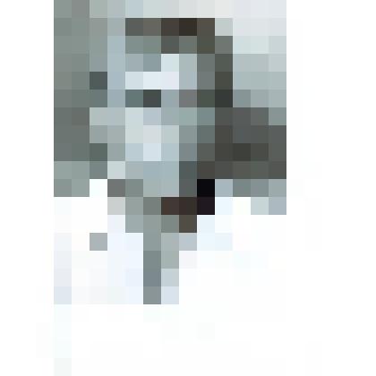 Фотография (копия). Круглов Николай Федорович