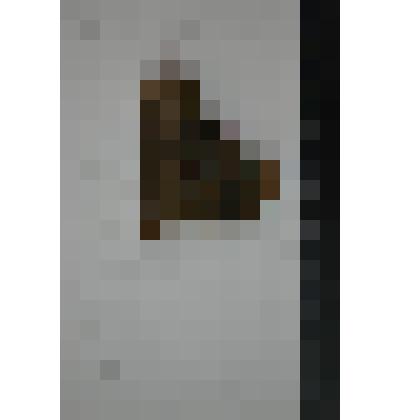 Сосуд. Фрагмент