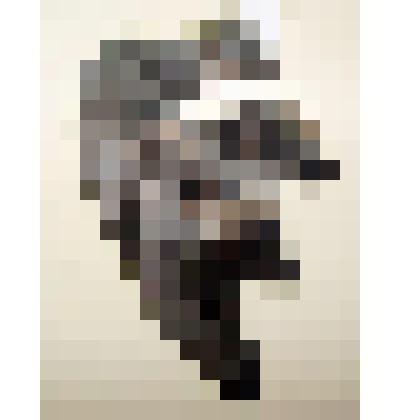 Крыло. Голубь сизый. Из коллекции