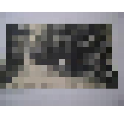 Почтовая карточка "№1 г.Скобелевъ.Карагачевая аллея въ городскомъ парке"