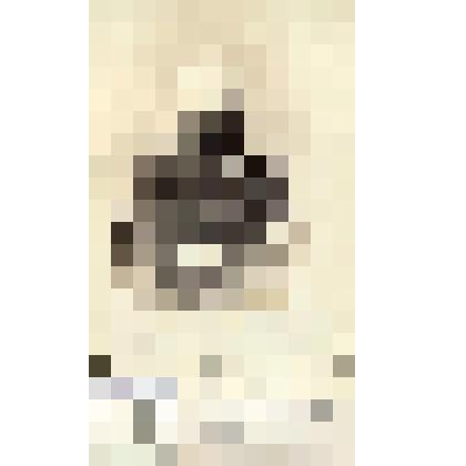 Фотография черно-белая. Буяльский Василий Ильич