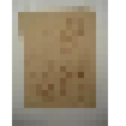 Обнаженная. Коллекция И.С. Зильберштейна, набросок