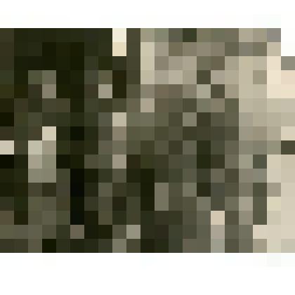 Фотография. Группа тунгусов уроч.Салгачча