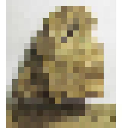 Обломок рубящего орудия