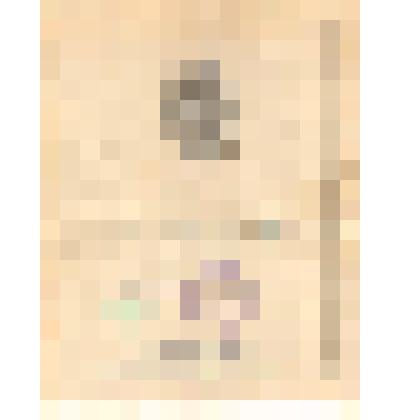 Грамота почетная. Грамота почетная  Мешалкиной Г.Т. за долголетнюю и безупречную работу в животноводстве от Бейского райкома КПСС и исполкома райсовета депутатов трудящихся 20.04.1956