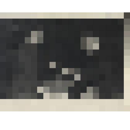 Фотография. Макарова Г.Ф., бригадир машиного отделения Маклаковского лесокомбината, участница 1-го слета ударников Коммунистического труда