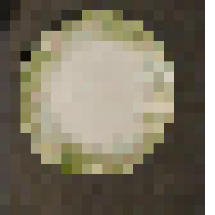 Тарелка мелкая