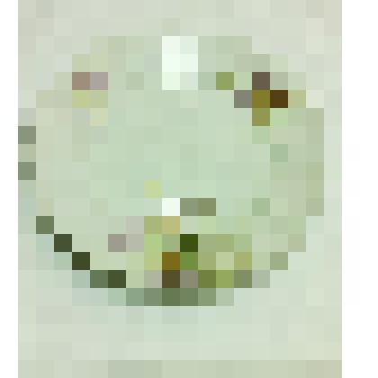 Тарелка мелкая