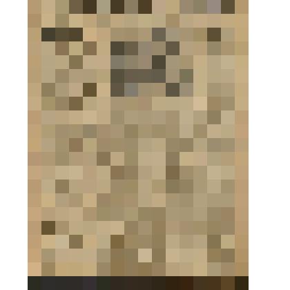 Газета. "Красный кавалерист" № 67